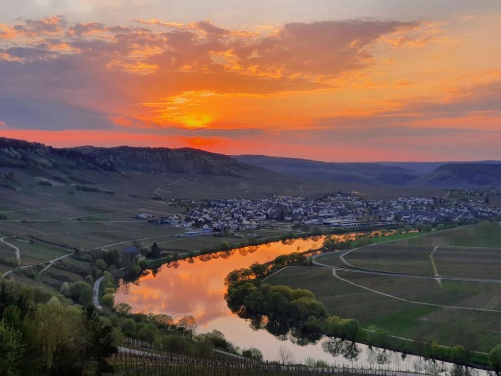 Hotel Herres Alte Metzgerei Leiwen Luaran gambar