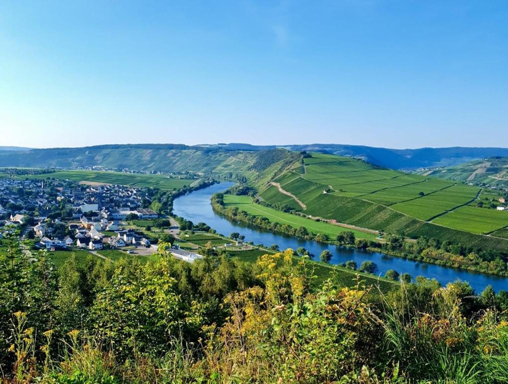 Hotel Herres Alte Metzgerei Leiwen Luaran gambar